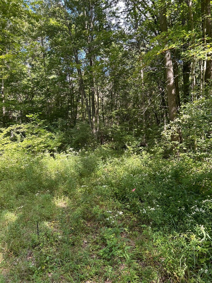 3250 W Isabella Road Property Photo 2