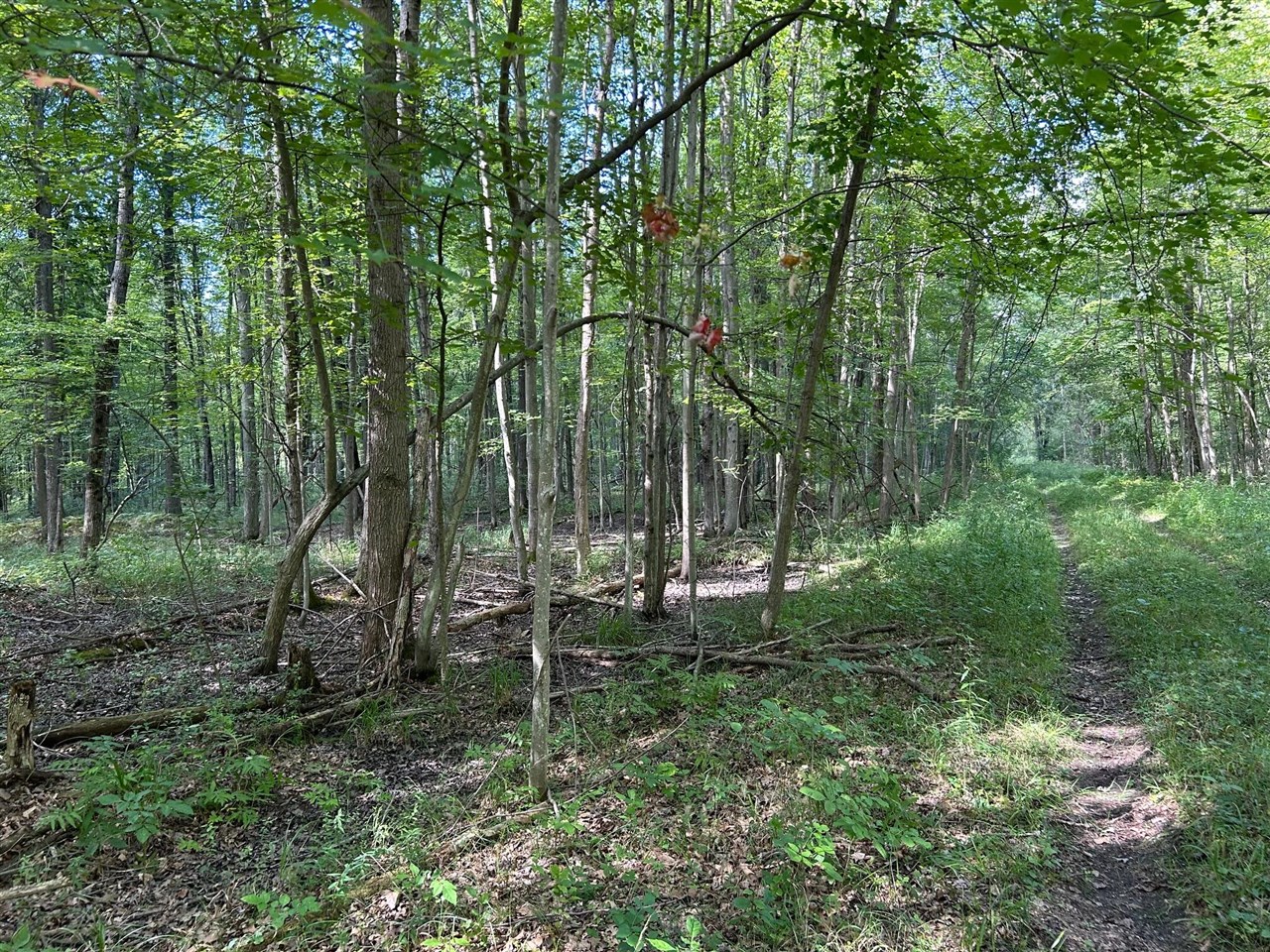3250 W Isabella Road Property Photo 5