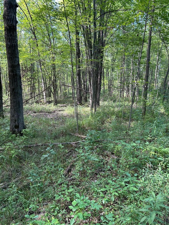 3250 W Isabella Road Property Photo 7