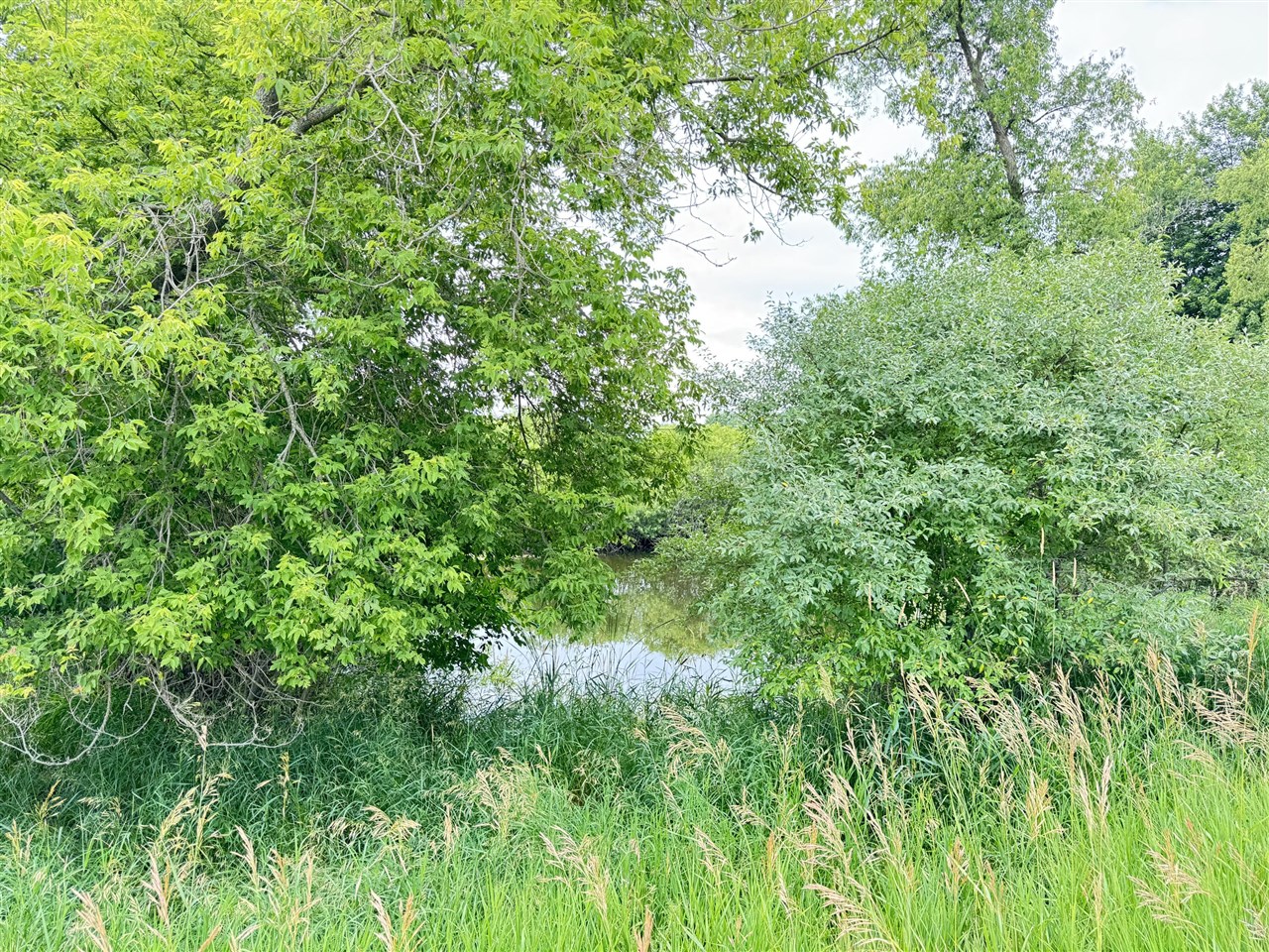 5818 Us Highway 31 Property Photo 26