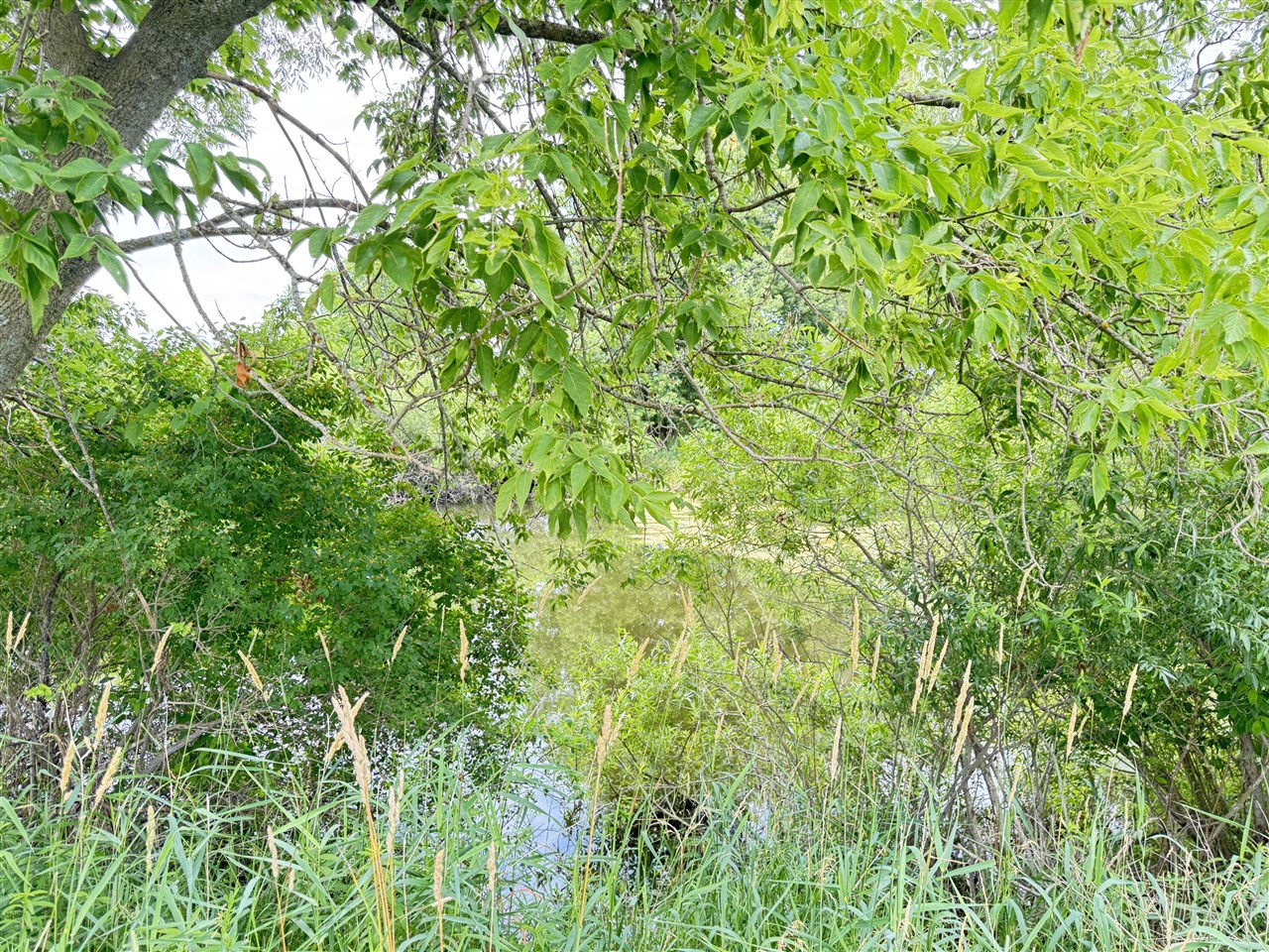 5818 Us Highway 31 Property Photo 27