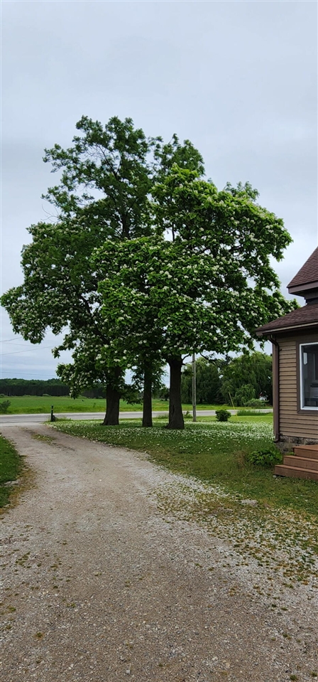 5818 Us Highway 31 Property Photo 32