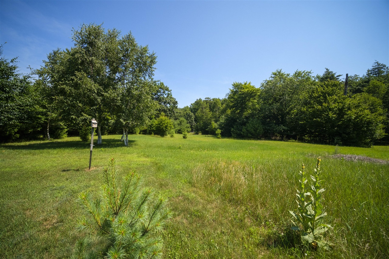 10201 Opal Ridge Drive Property Photo 70