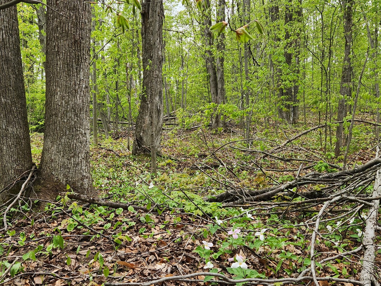 Valleyridge Circle Property Photo 6