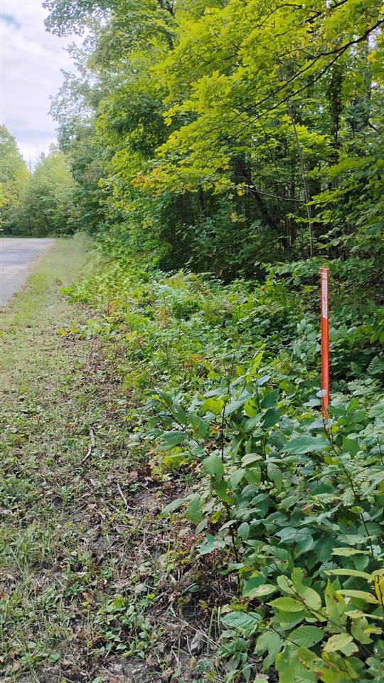 Valleyridge Circle Property Photo 10