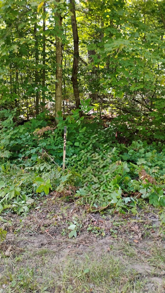 Valleyridge Circle Property Photo 11