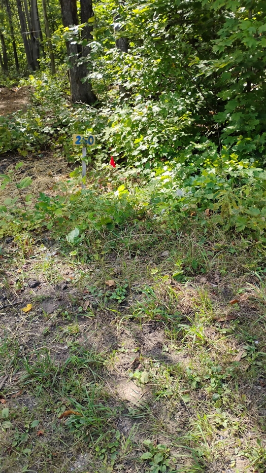 Valleyridge Circle Property Photo 13