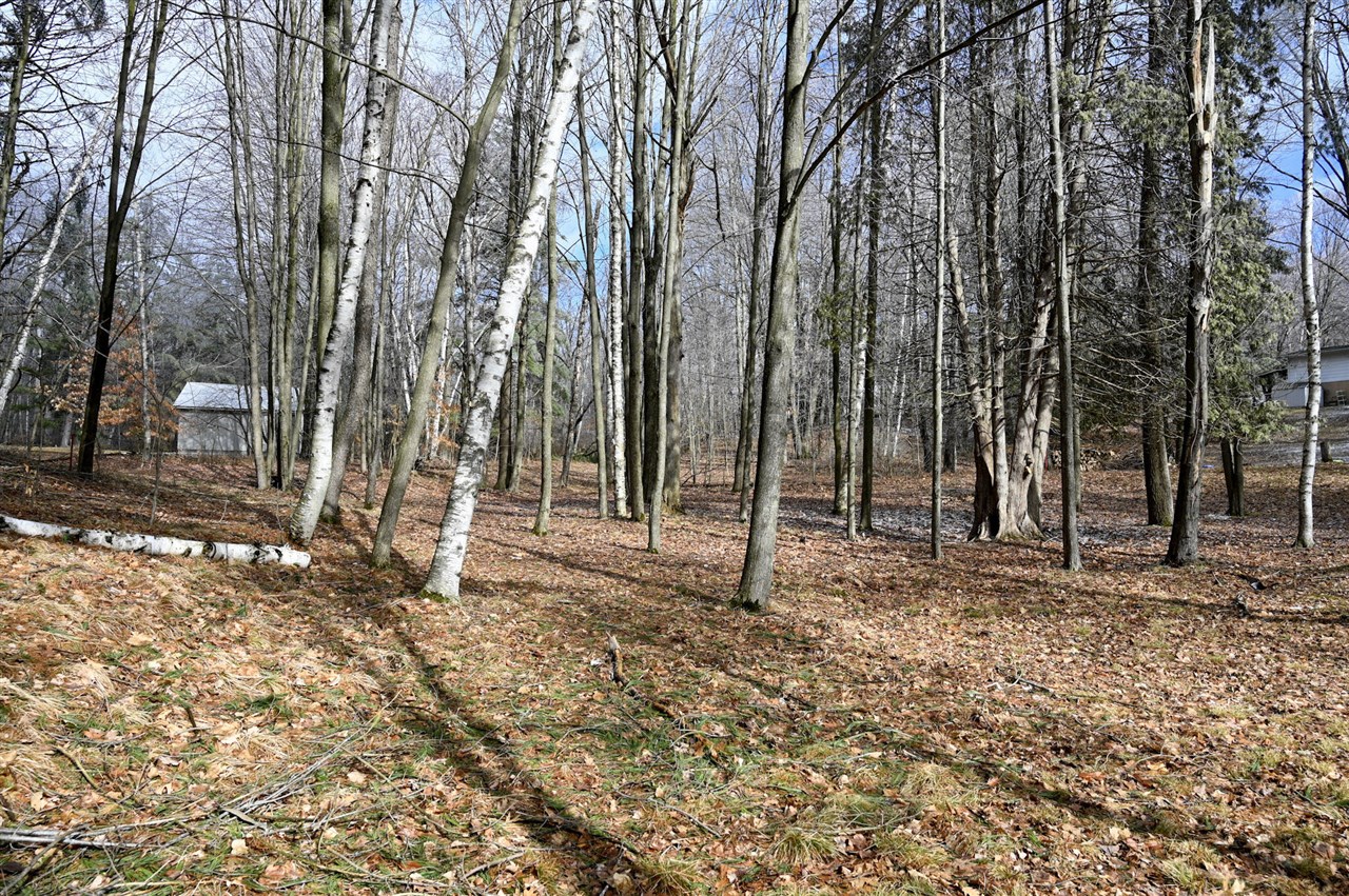 9828 Pontiac Trail Property Photo 1