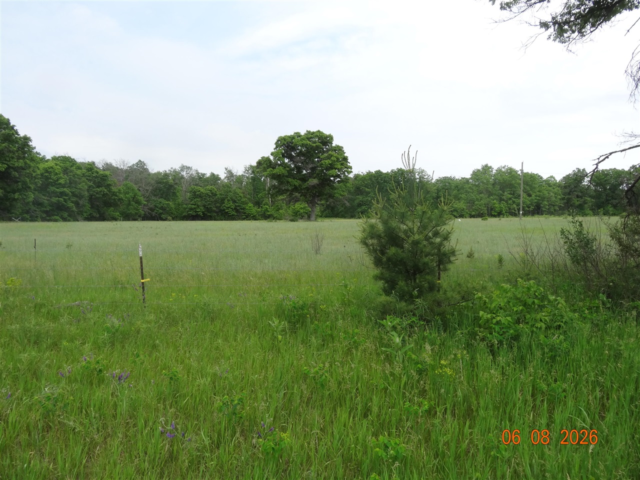 518 S Oak Avenue Property Photo 1