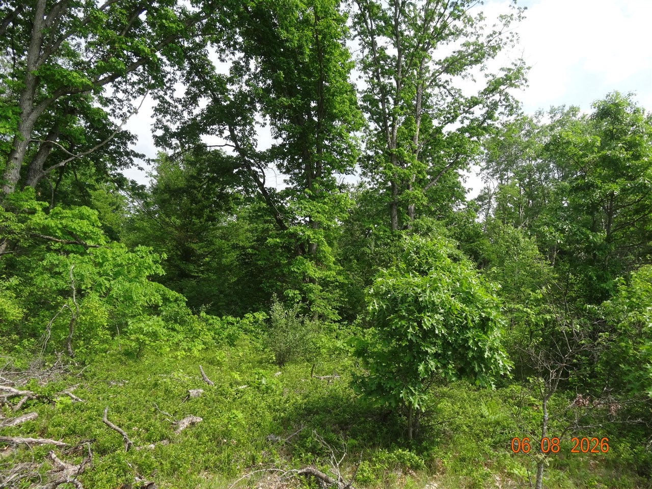 518 S Oak Avenue Property Photo 4