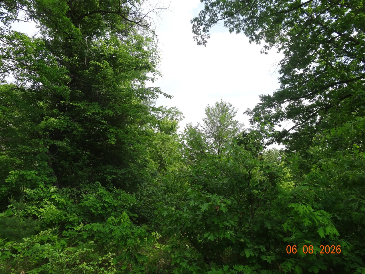 518 S Oak Avenue Property Photo 5