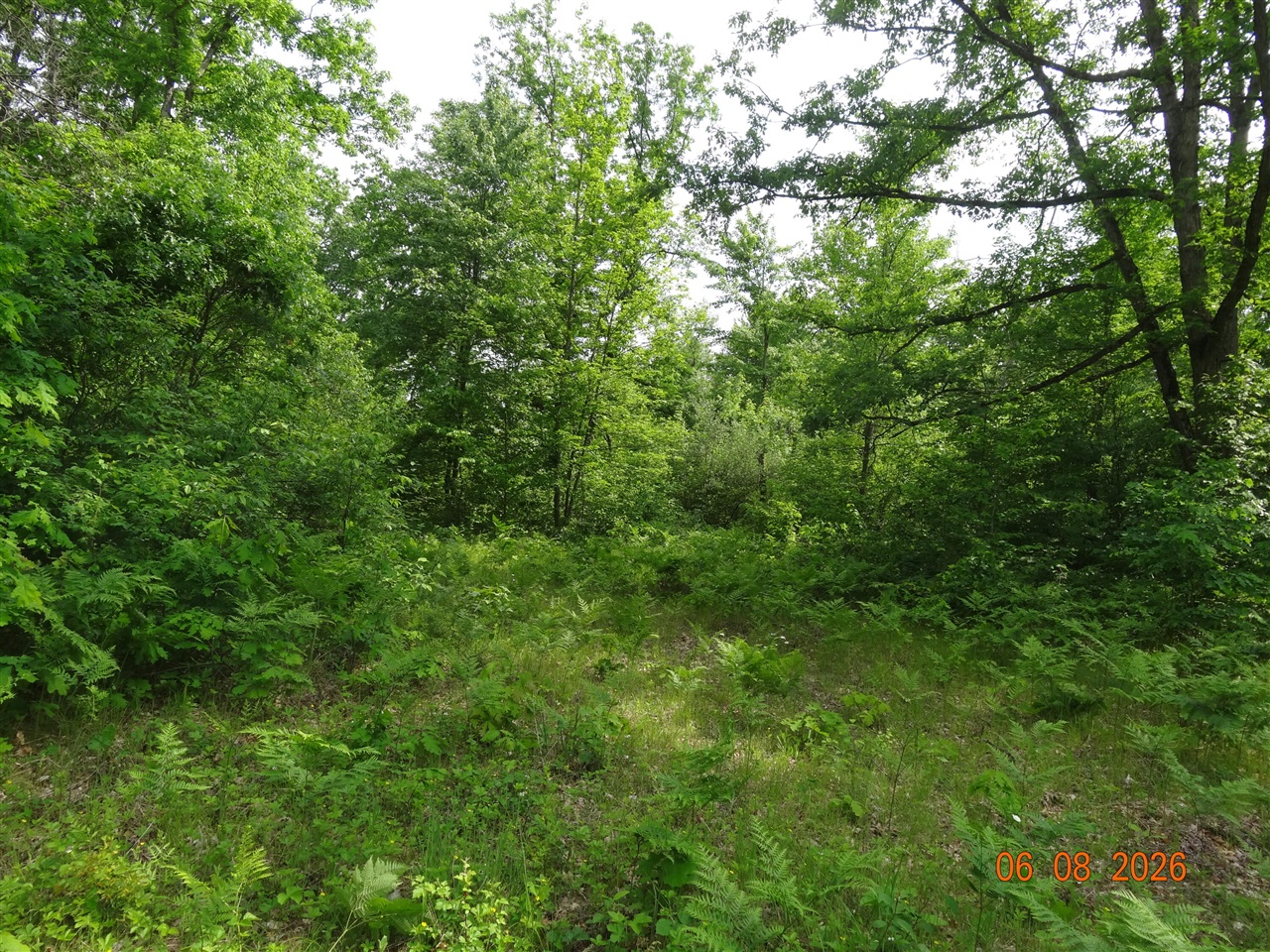518 S Oak Avenue Property Photo 6