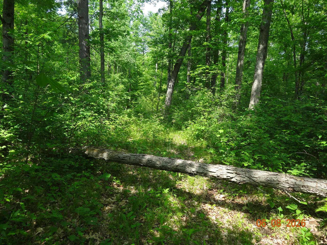 518 S Oak Avenue Property Photo 7