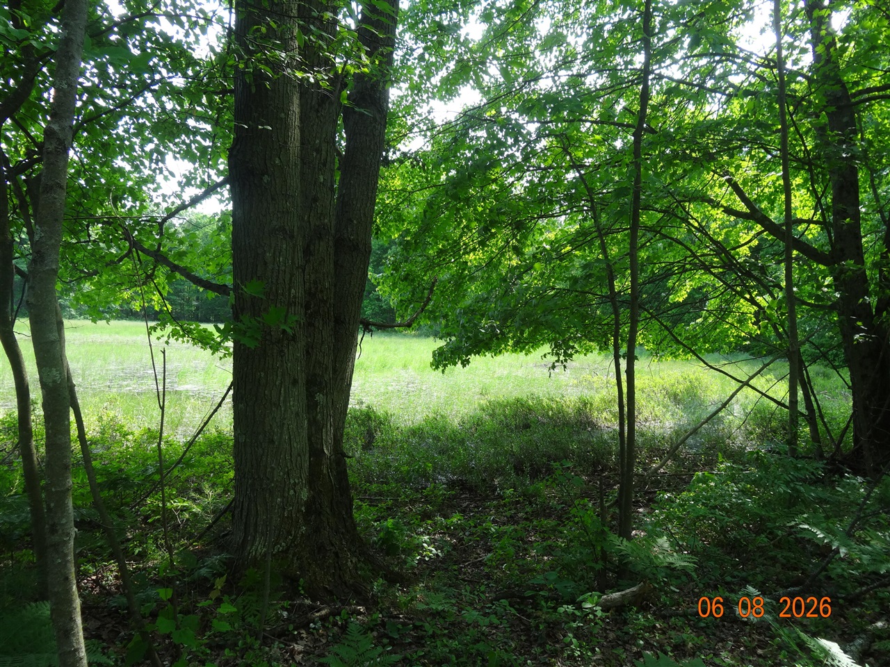 518 S Oak Avenue Property Photo 15