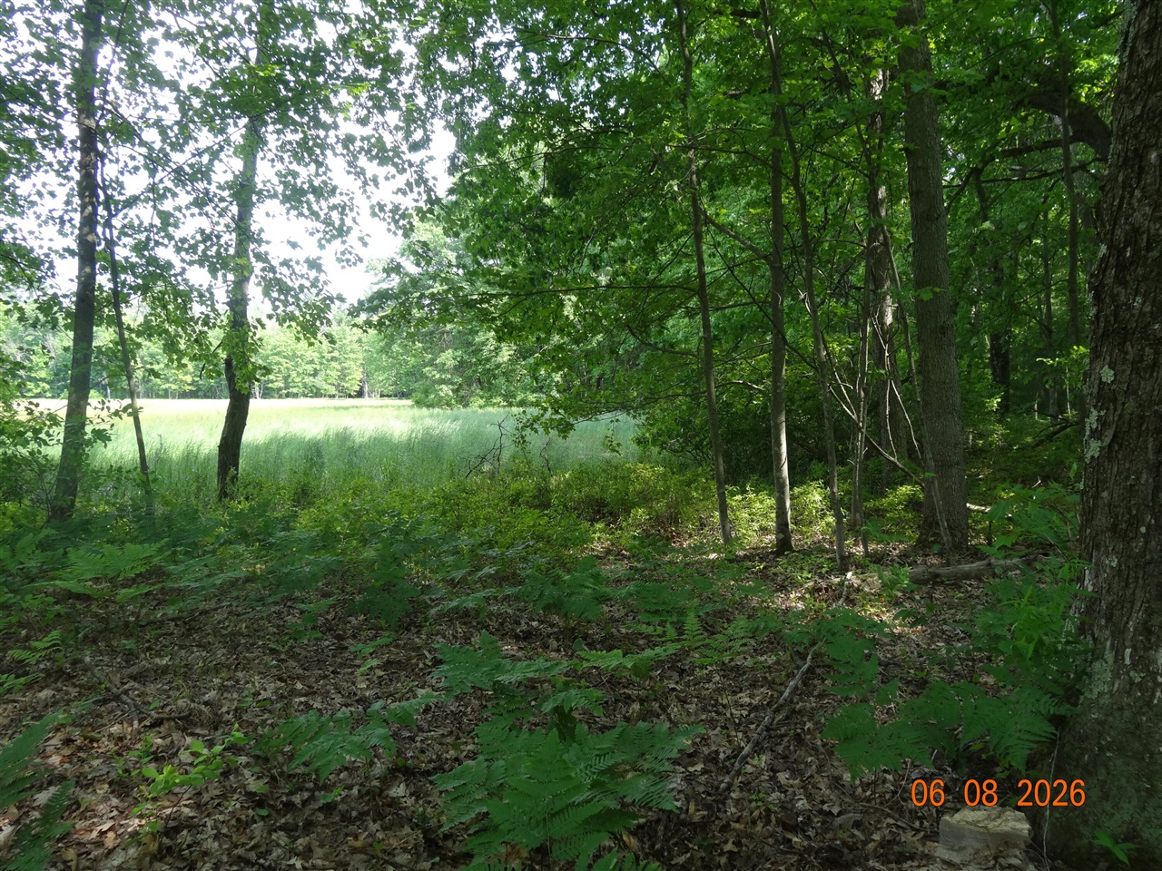 518 S Oak Avenue Property Photo 16