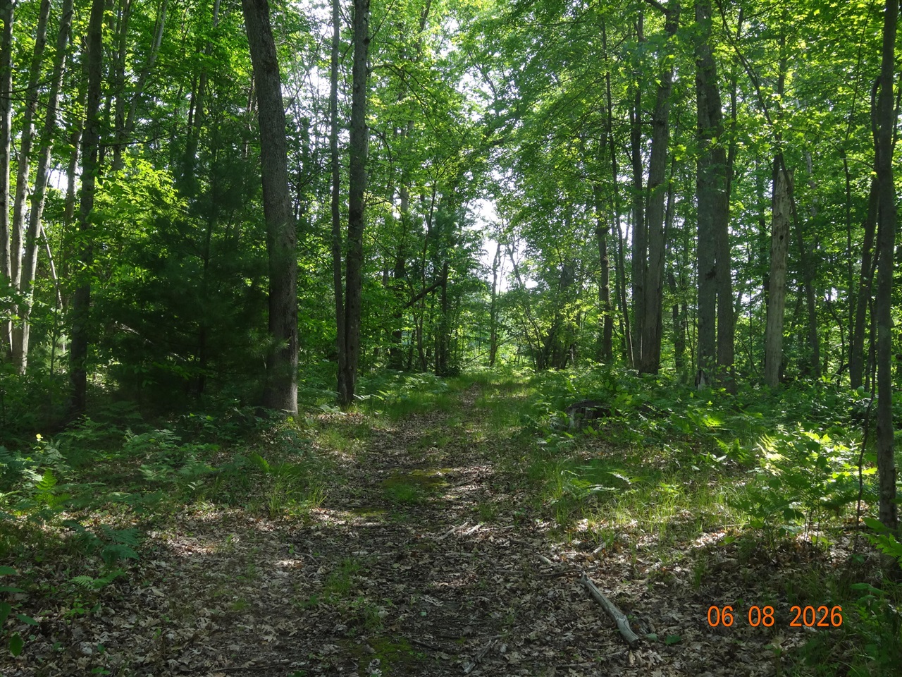 518 S Oak Avenue Property Photo 17