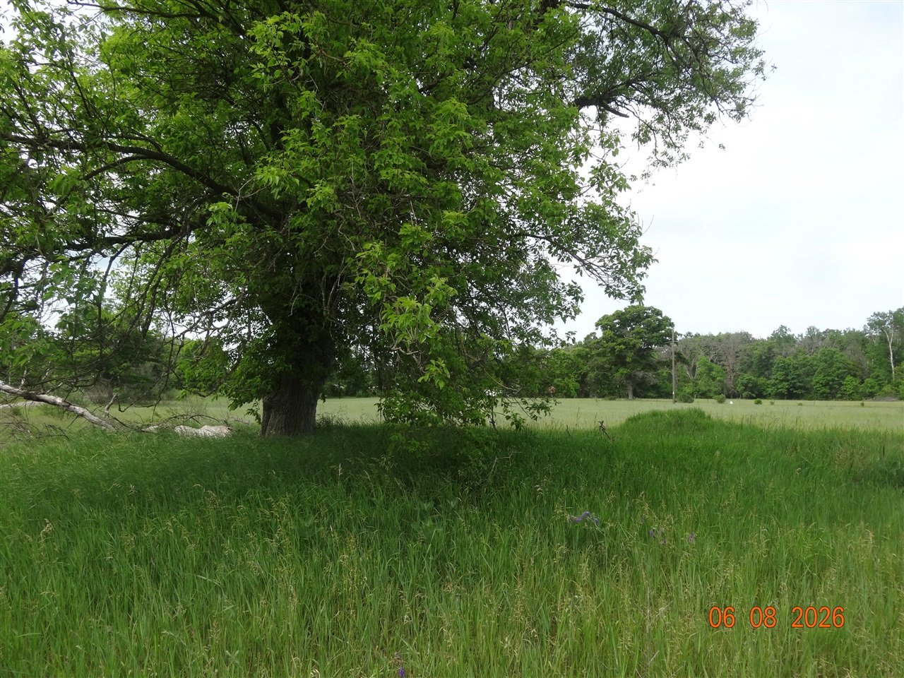 550 S Oak Avenue Property Photo 1