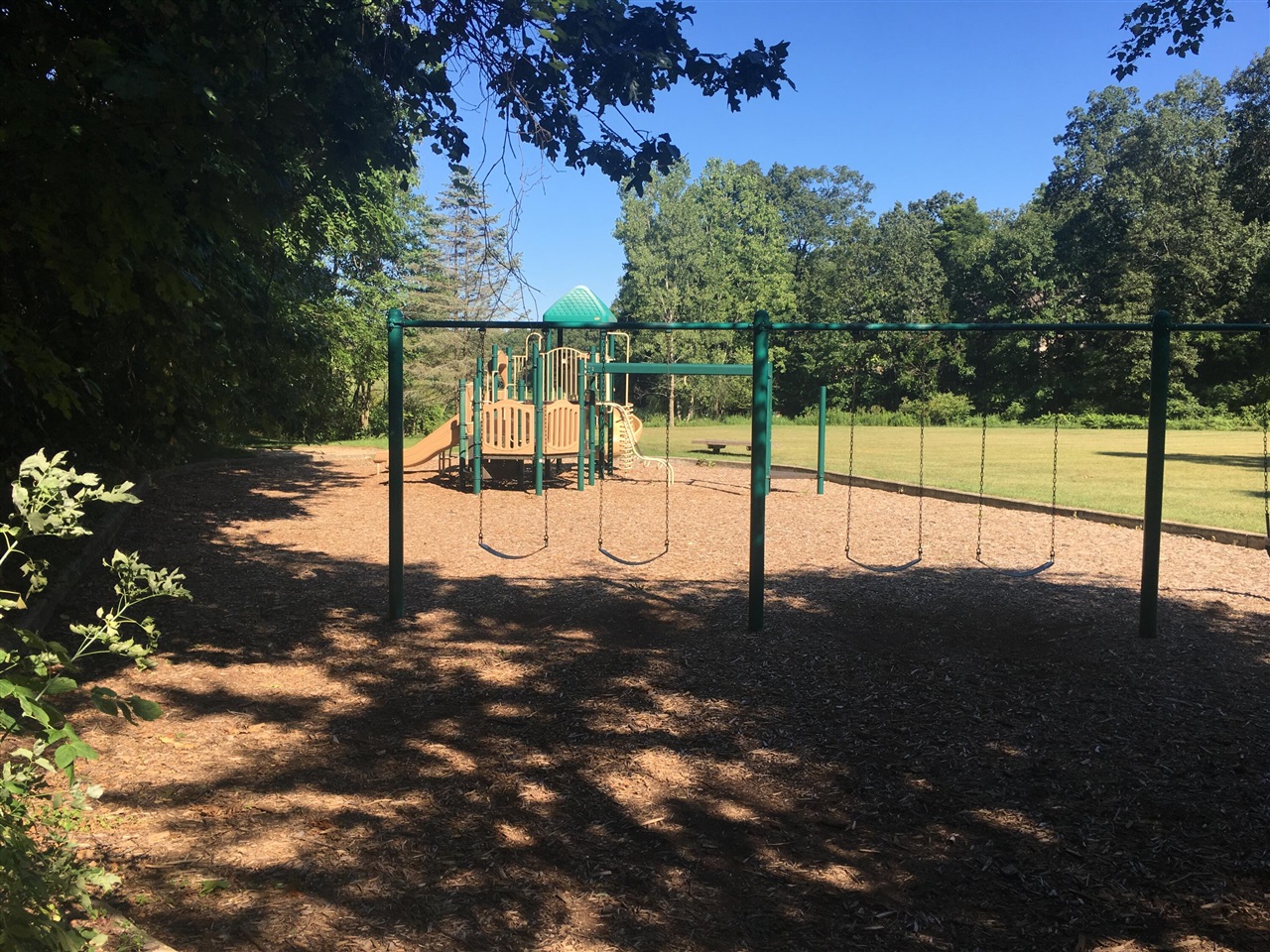 6697 Chaffey Creek Trail Property Photo 35