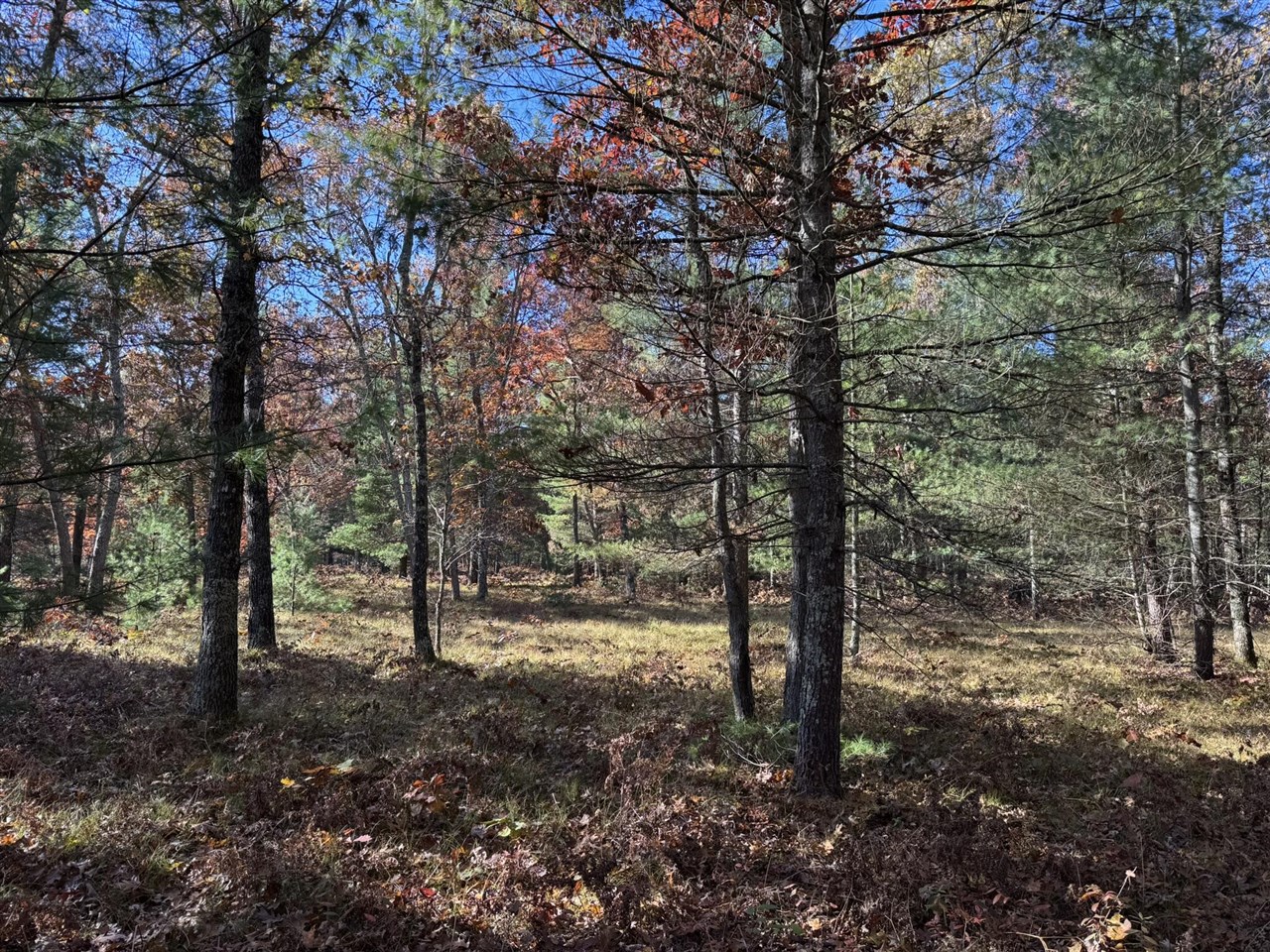 Parcel 3 County Line Road Property Photo 1