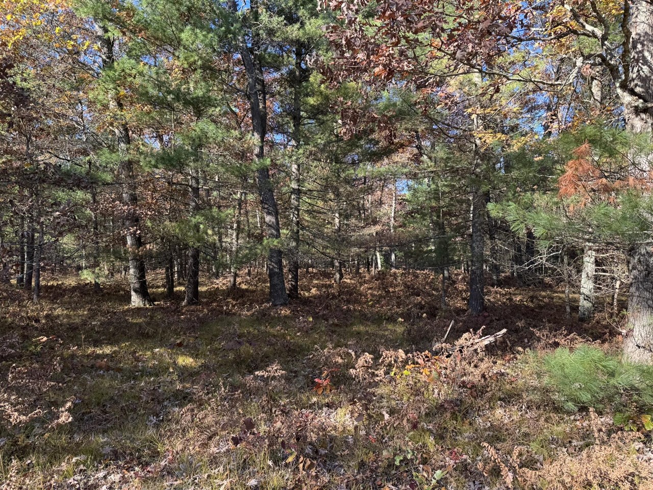 Parcel 3 County Line Road Property Photo 3