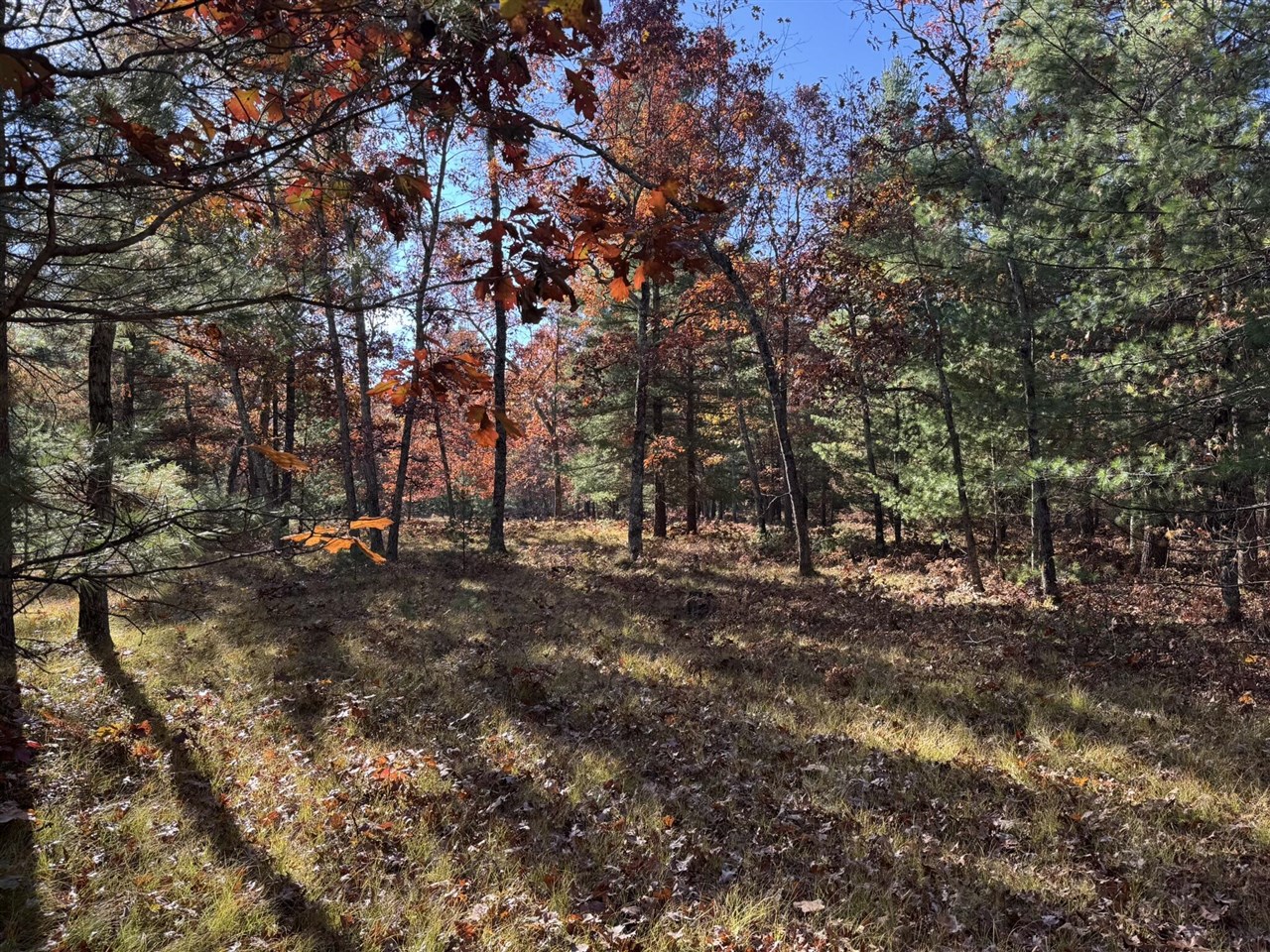 Parcel 3 County Line Road Property Photo 4