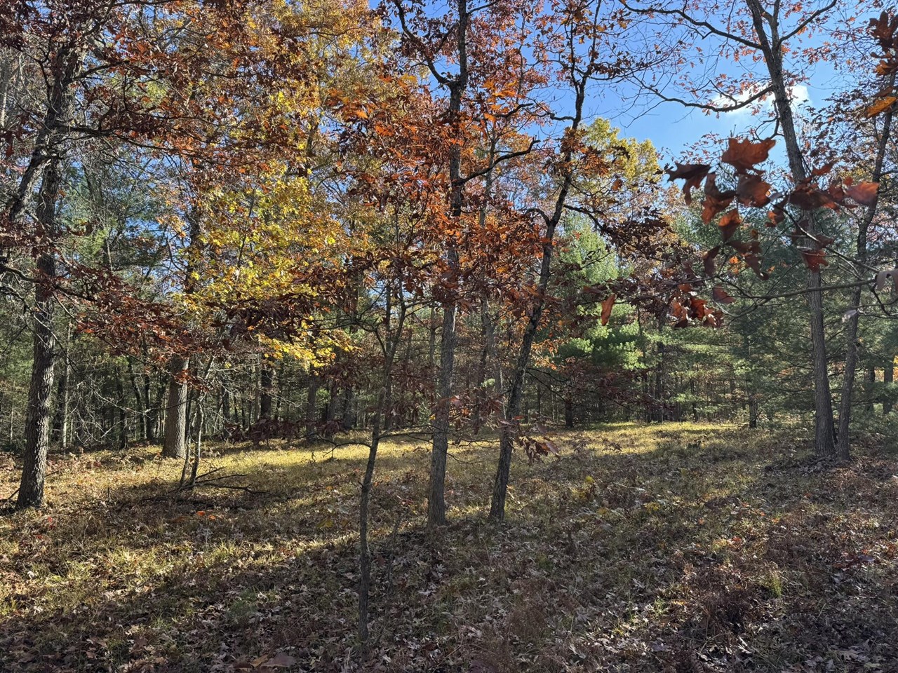 Parcel 4 County Line Road Property Photo 1