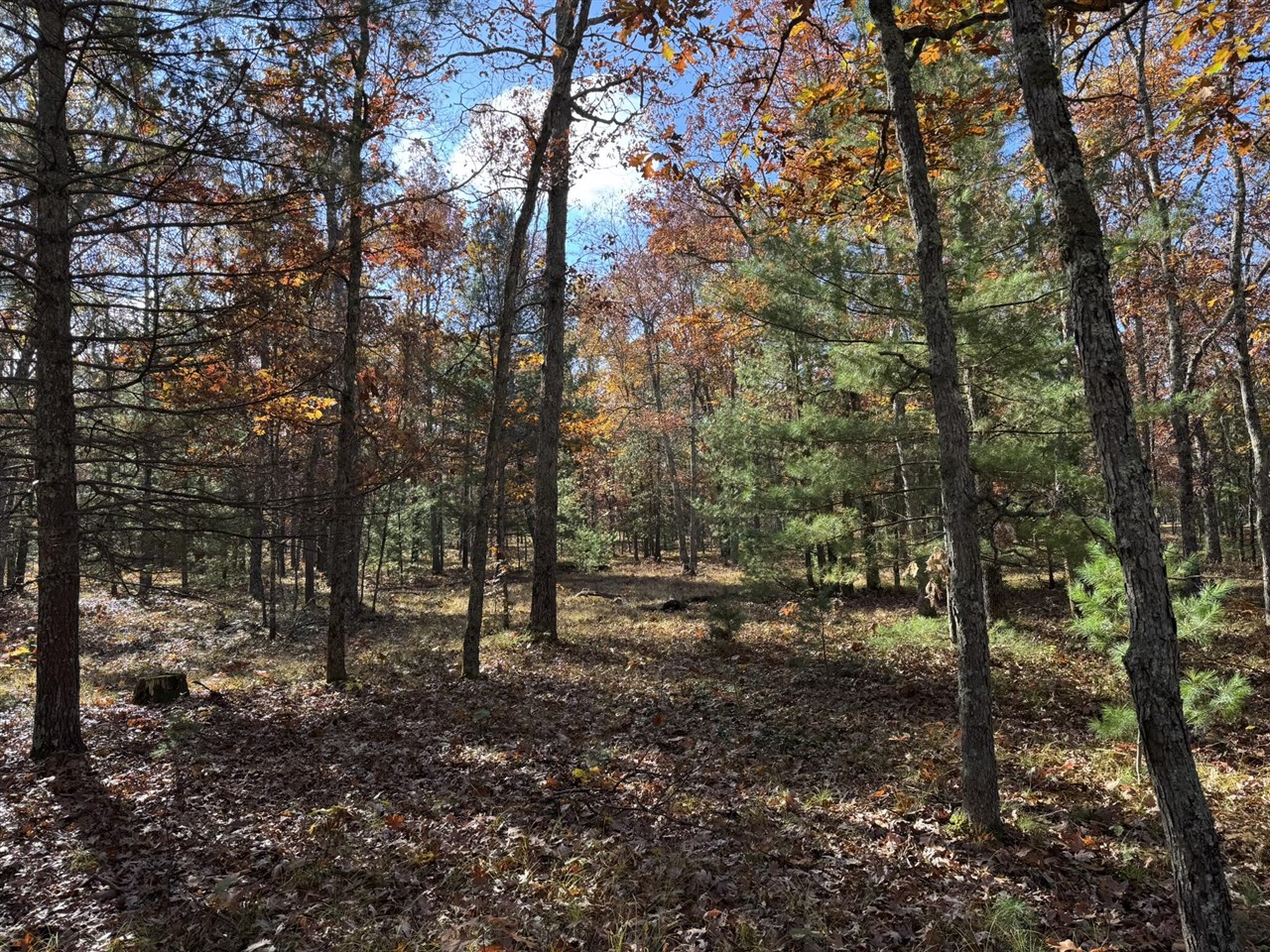Parcel 6 County Line Road Property Photo 1