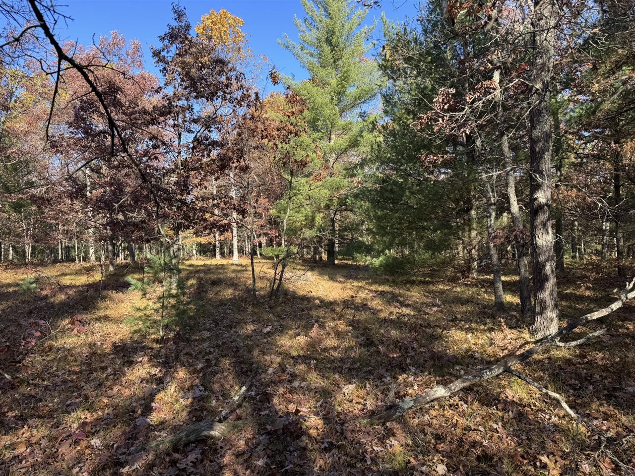 Parcel 6 County Line Road Property Photo 3