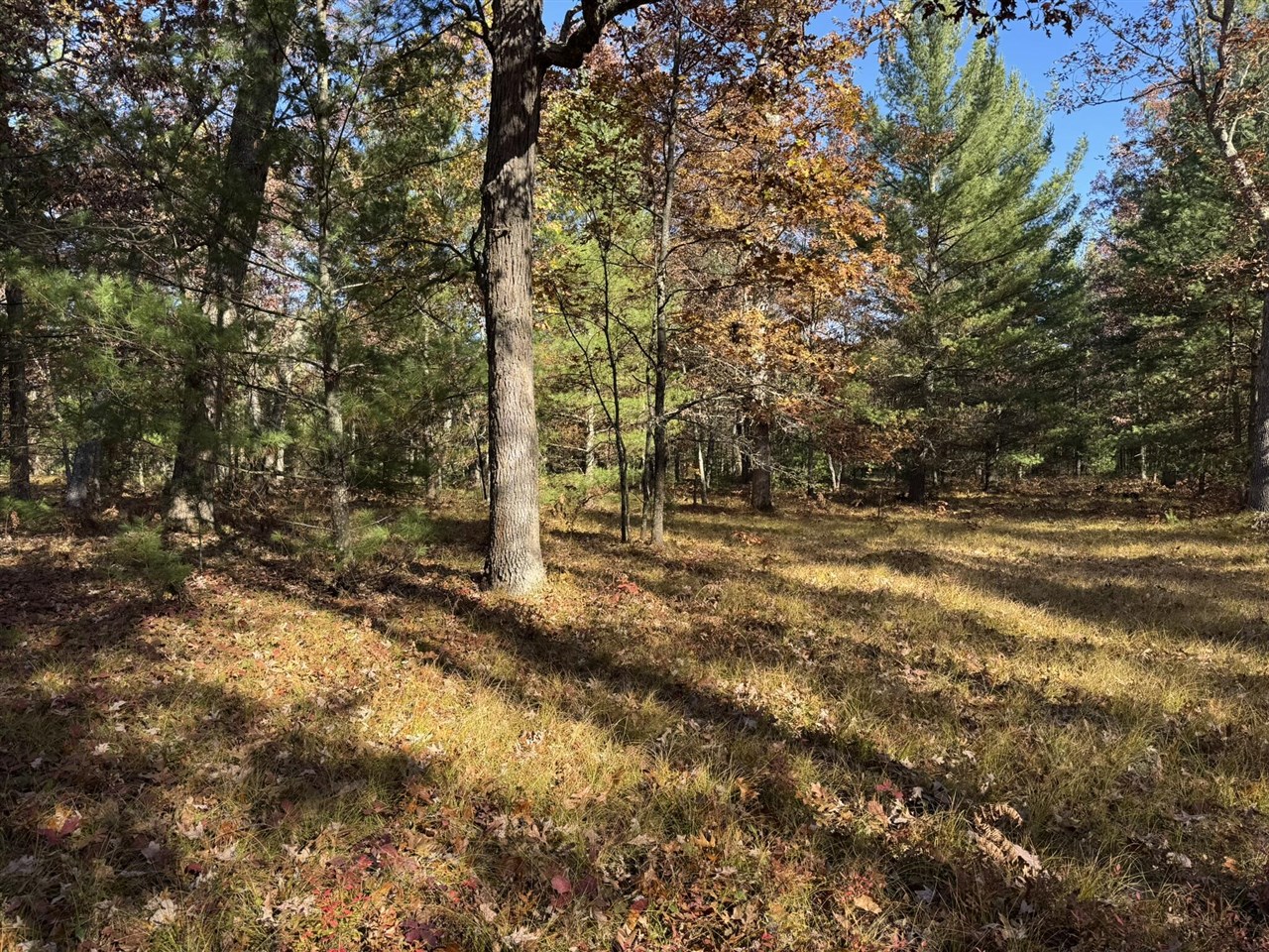 Parcel 6 County Line Road Property Photo 4