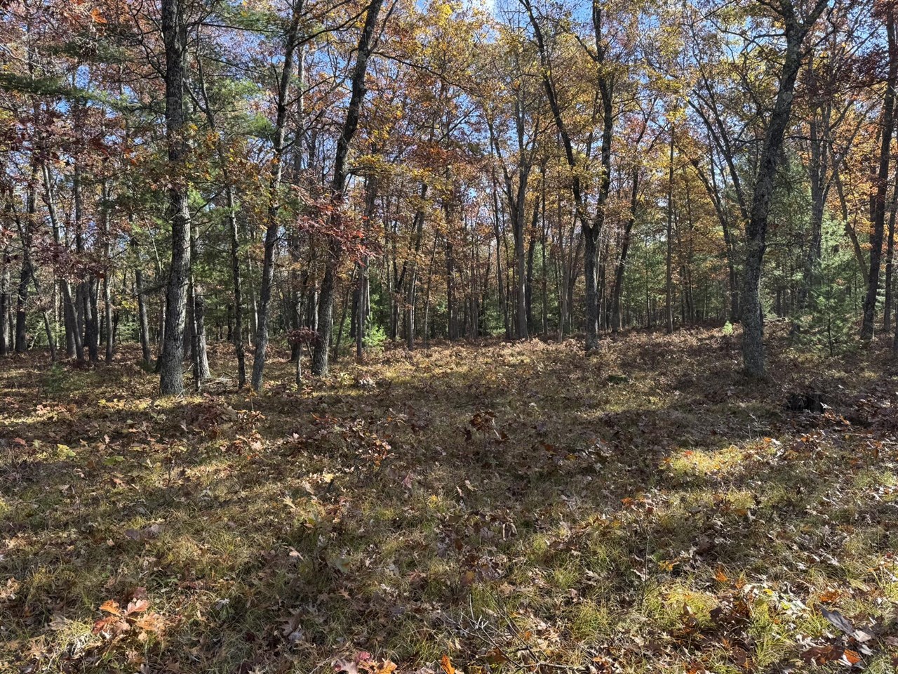 Parcel 6 County Line Road Property Photo 5