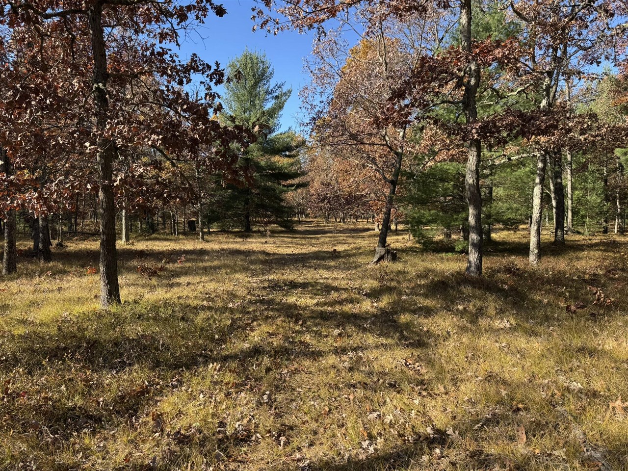 Parcel 8 County Line Road Property Photo 1