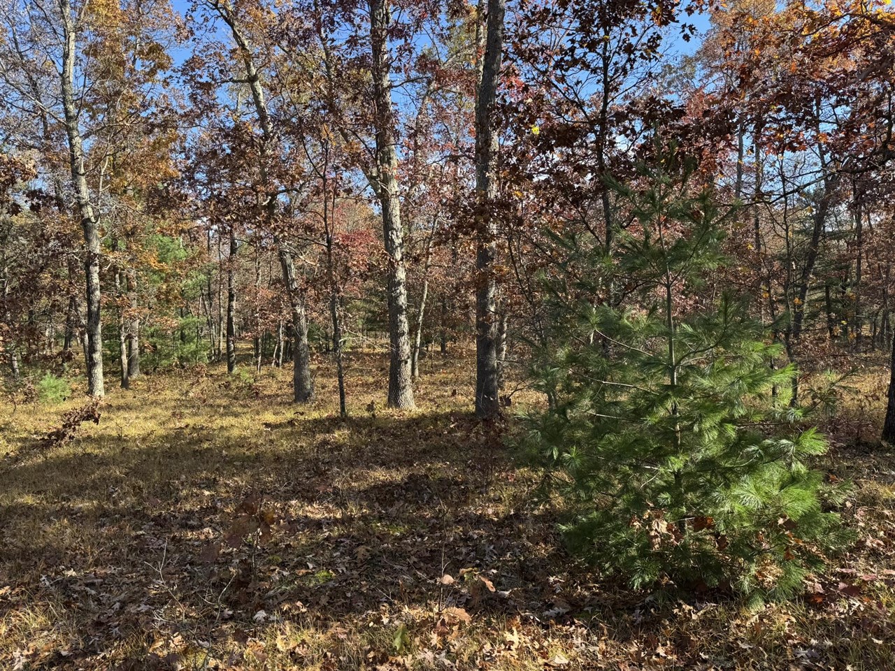 Parcel 9 County Line Road Property Photo 1