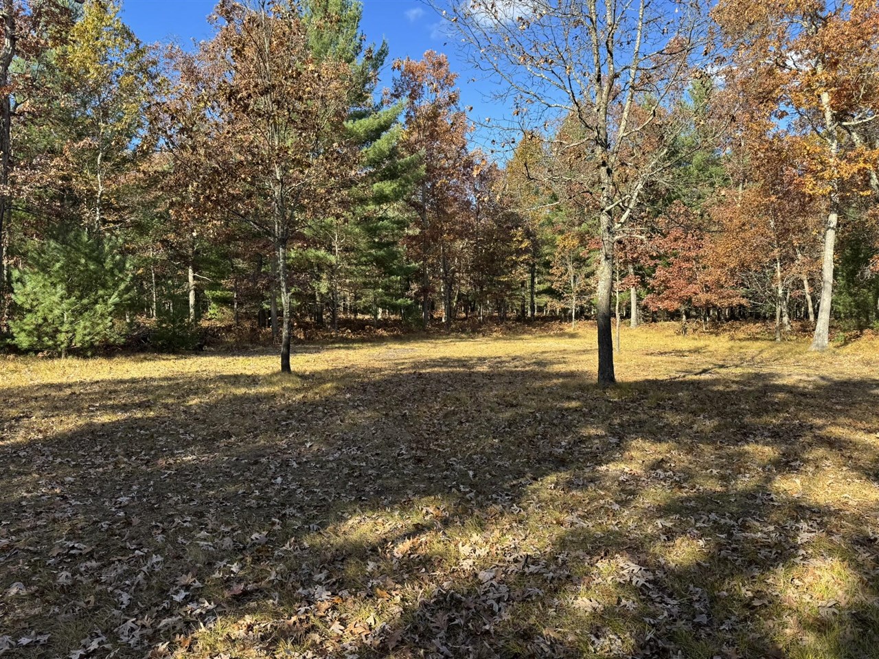 Parcel 13 County Line Road Property Photo 1
