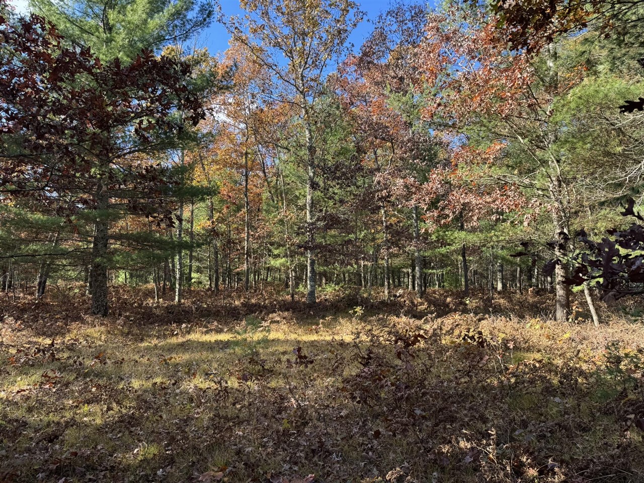 Parcel 13 County Line Road Property Photo 4