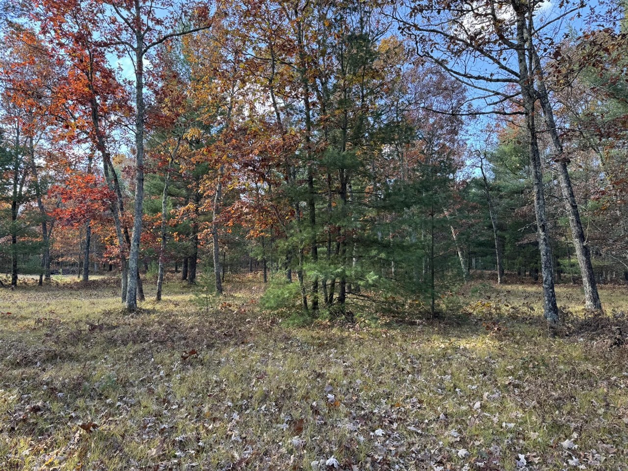 Parcel 13 County Line Road Property Photo 5