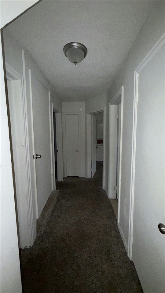 7269 Minock Street Property Photo 10
