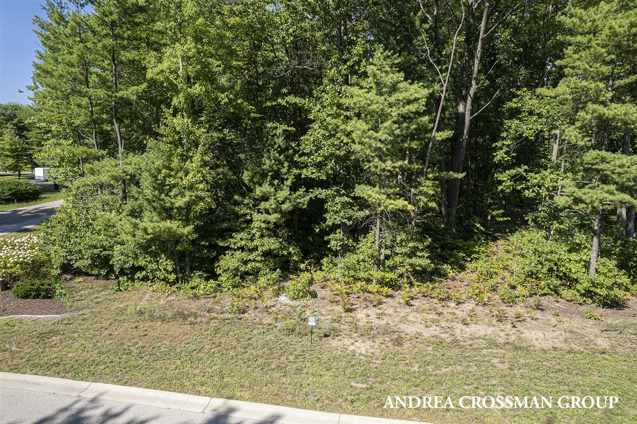 16179 Coventry Lane Property Photo 5