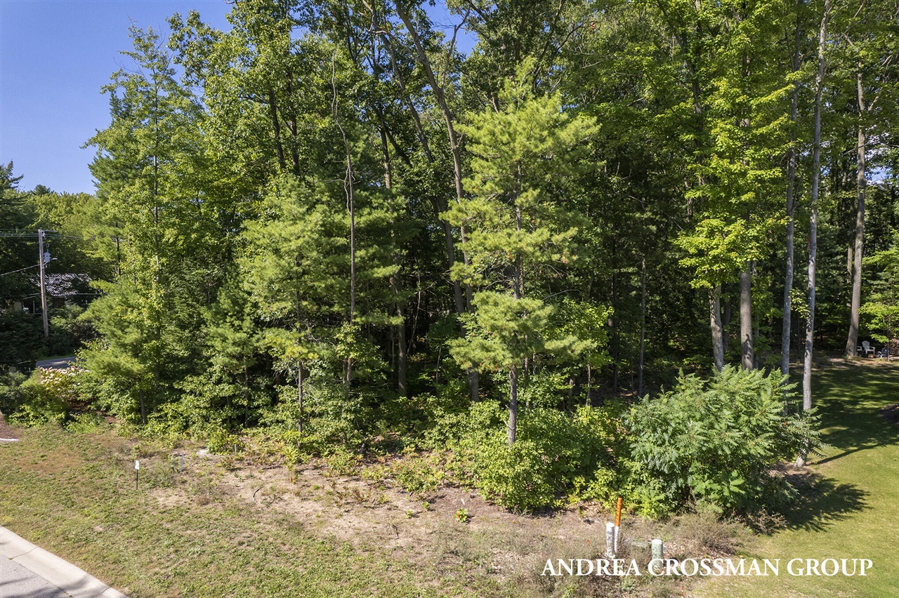 16179 Coventry Lane Property Photo 6