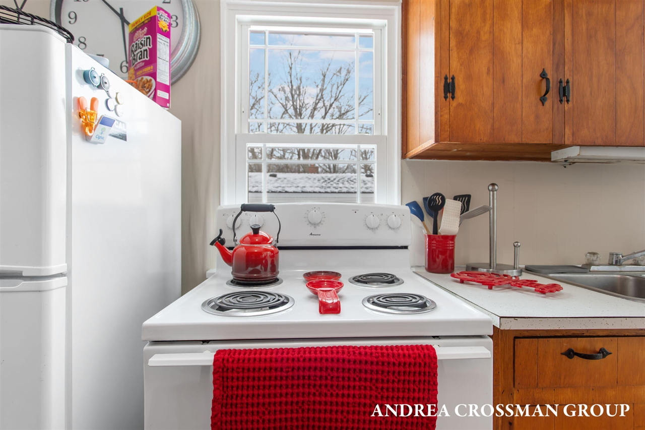 658 Allegan Street Property Photo 19