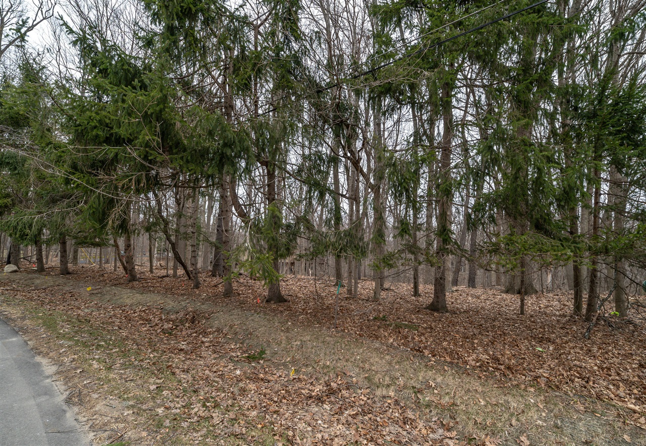 Lot 24 Quaker Valley Road Property Photo 2