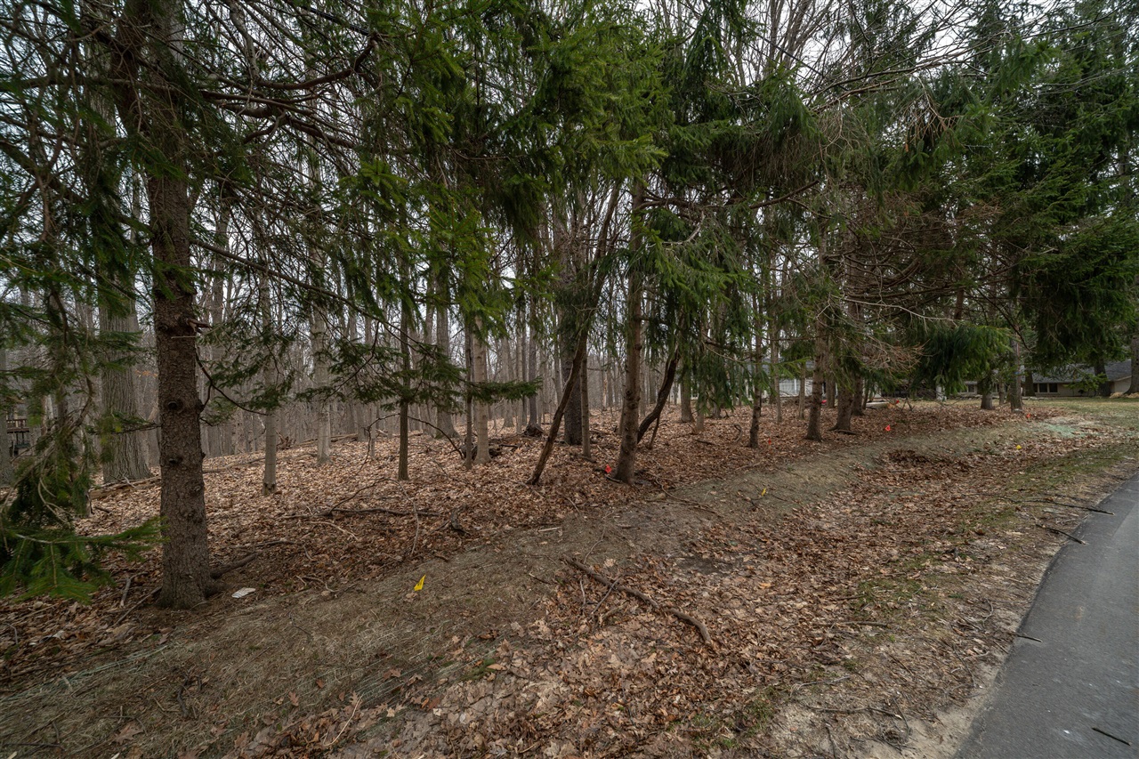 Lot 24 Quaker Valley Road Property Photo 4