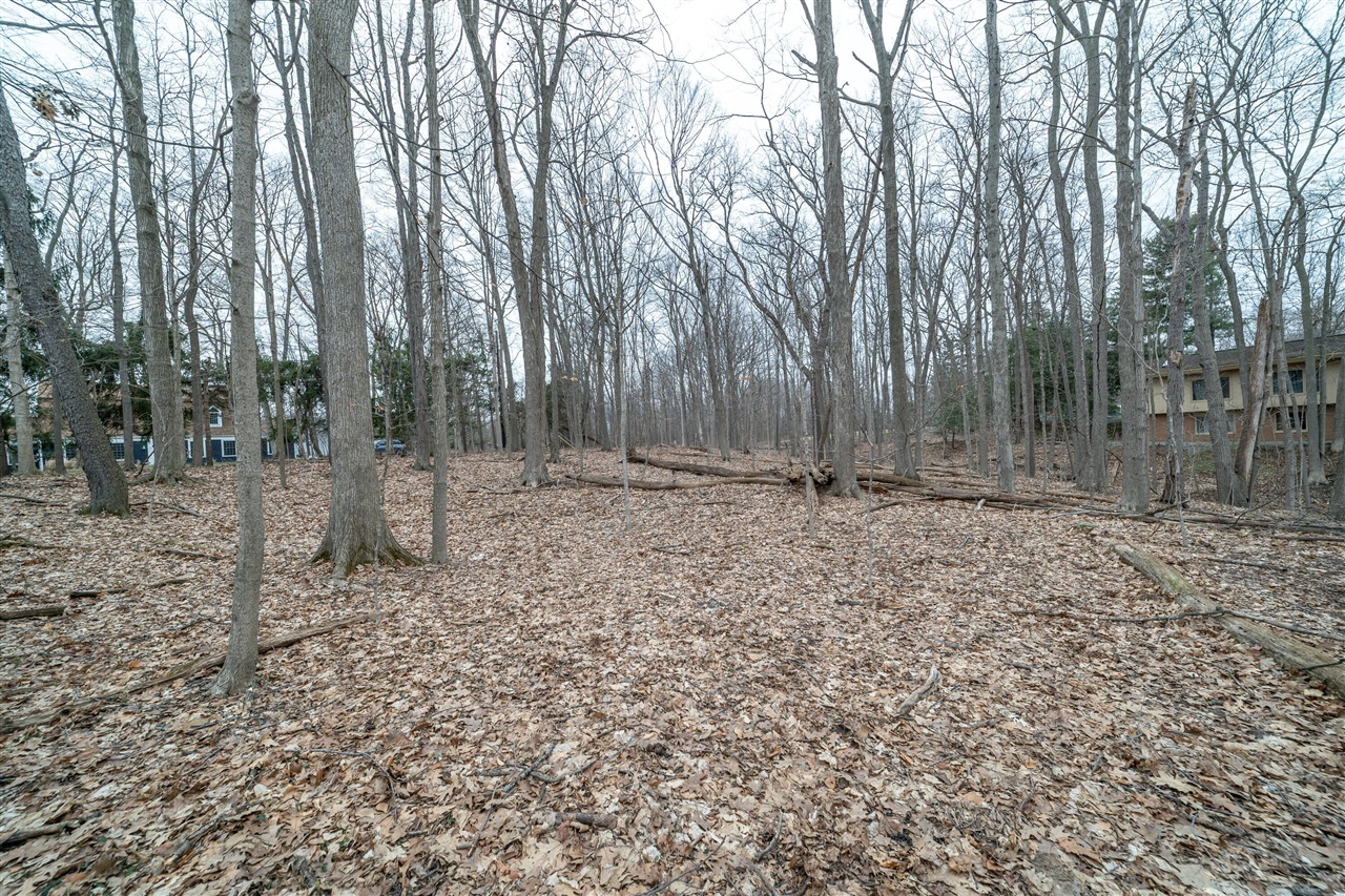 Lot 24 Quaker Valley Road Property Photo 5