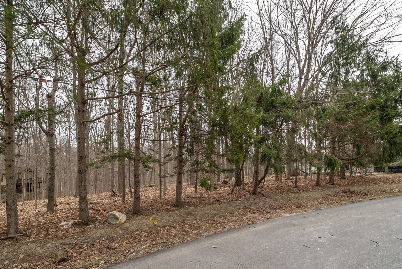 Lot 24 Quaker Valley Road Property Photo 7
