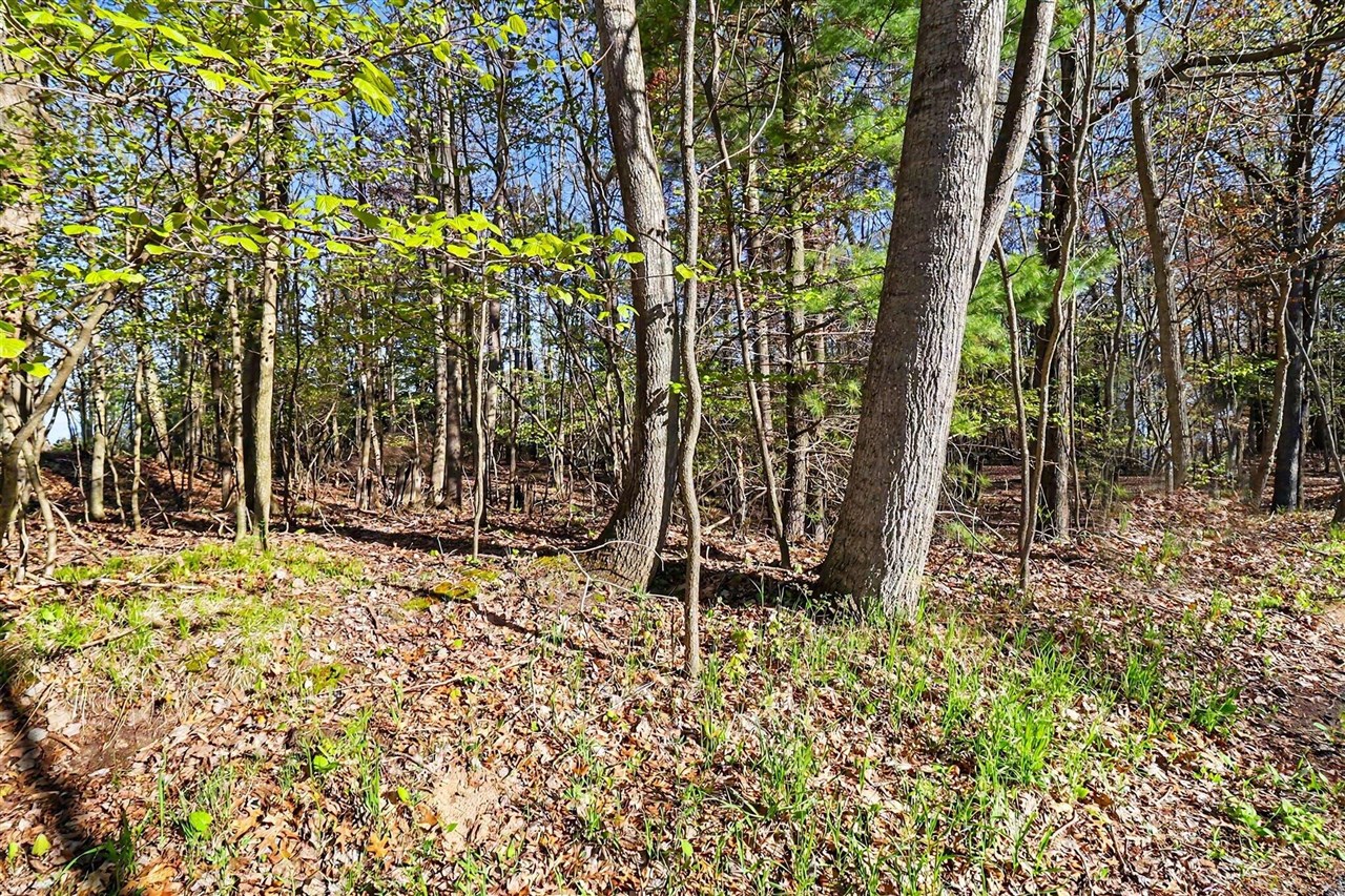 Lot 11 Silver Ridge Road Property Photo 3
