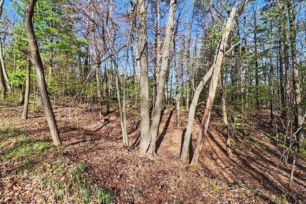 Lot 11 Silver Ridge Road Property Photo 4