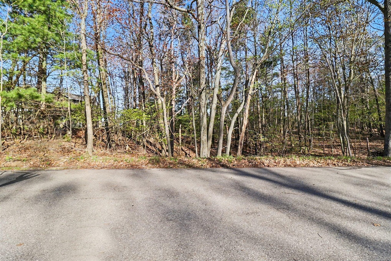 Lot 11 Silver Ridge Road Property Photo 5