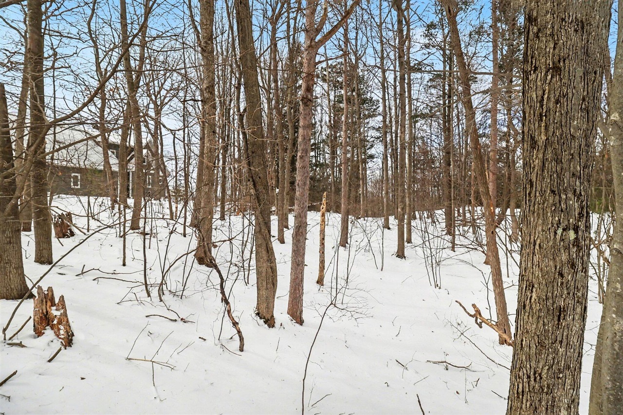 Lot 11 Silver Ridge Road Property Photo 14