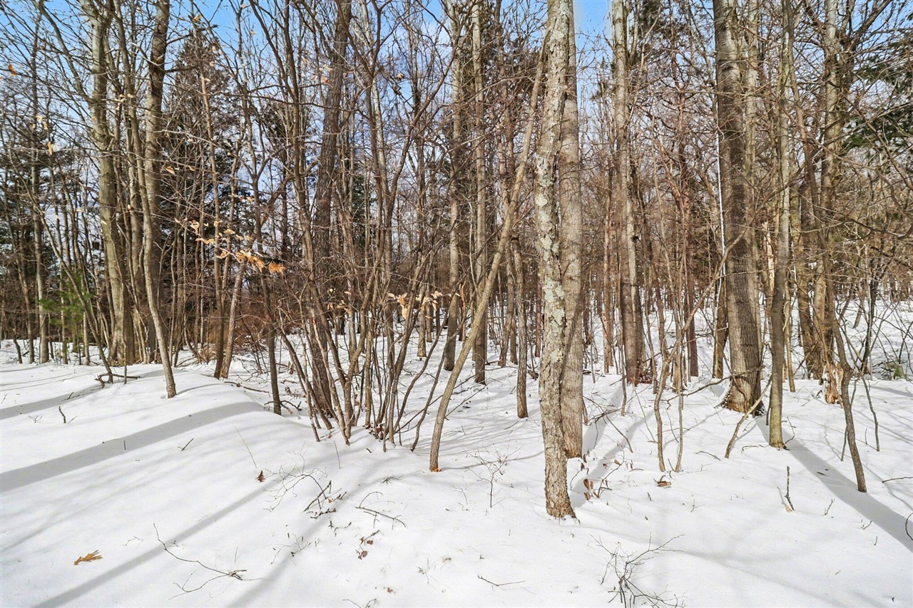 Lot 11 Silver Ridge Road Property Photo 18