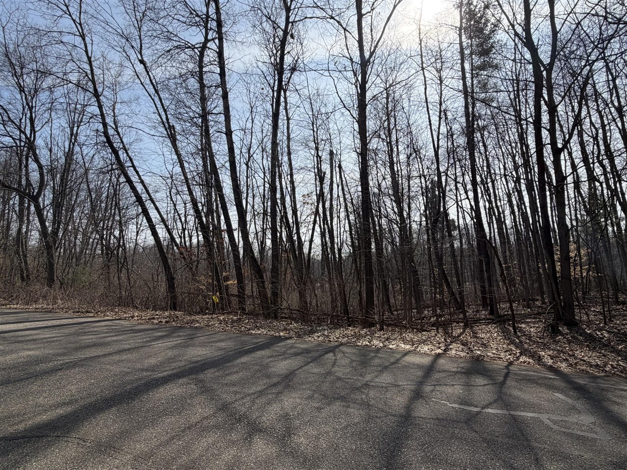 12952 Bowen Lake Drive Property Photo 1