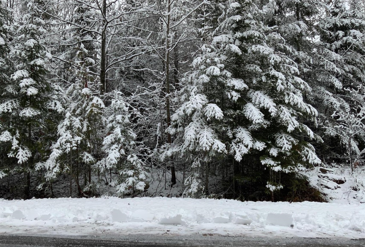E Norwood Court Property Photo 3